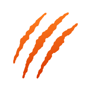 BACHATIGER.tv